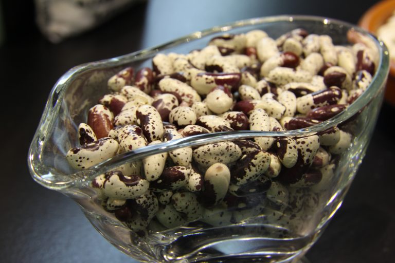 El Año Internacional de las Legumbres, promovido por la FAO, servirá para fomentar el consumo de este alimento nutritivo, económico y sostenible