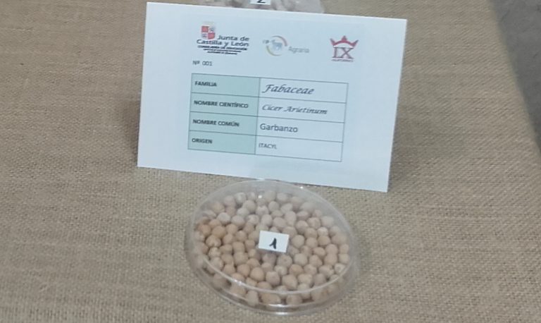 Exposición sobre las legumbres en el Instituto Alfonso IX de Zamora