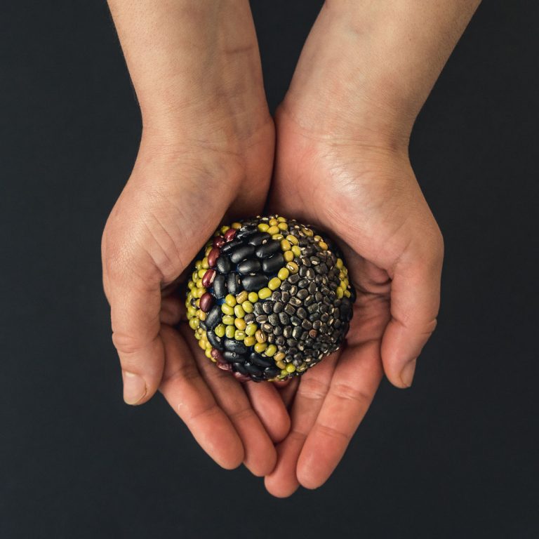 Gran impacto en Medios de Comunicación del Día Global de las Legumbres