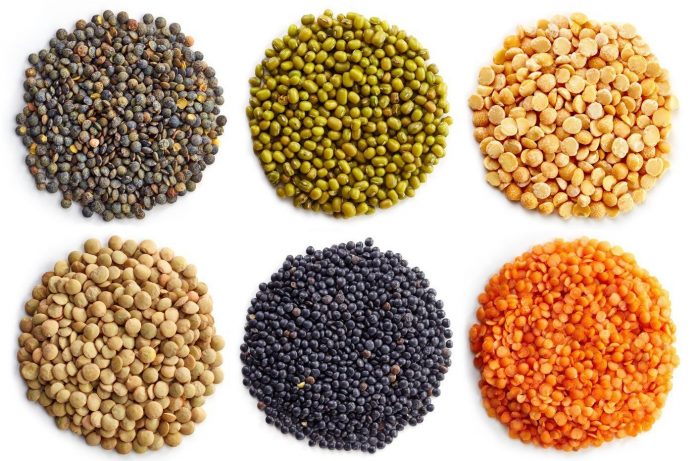 assorted_beans_and_lentils_pattern_on_white_0