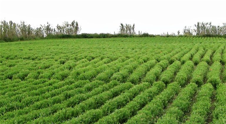 Información sobre el nuevo Registro de Contratos Alimentarios que entra en vigor el próximo 30 de junio de 2023