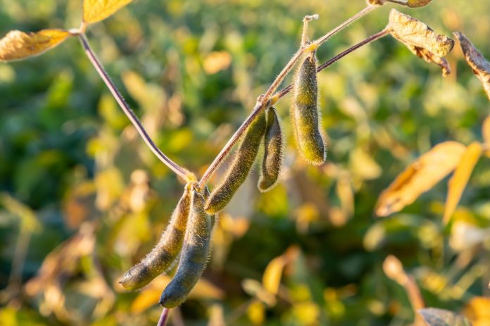 Diseño sin título - 1