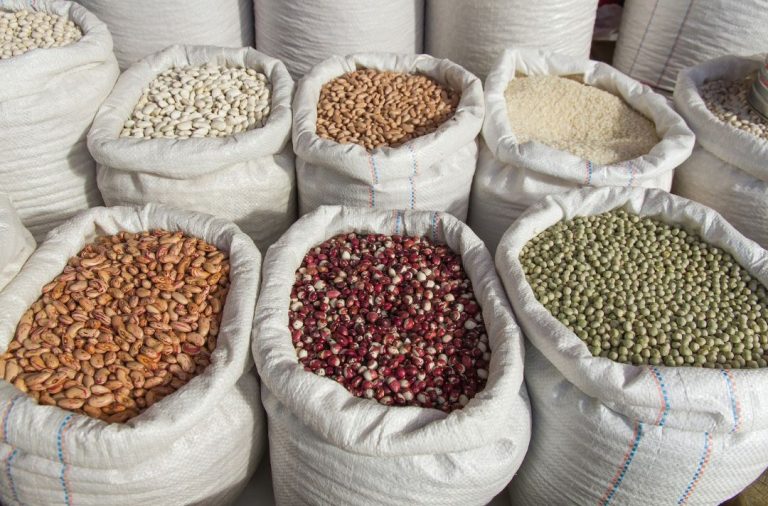 Legumbres: el futuro de la alimentación sostenible