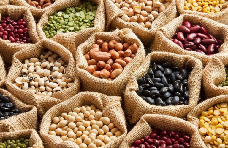 ¿Puede sustituir la proteína de las legumbres a la de la carne?