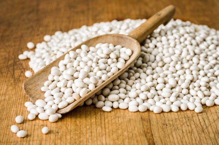 La ciencia detrás de las legumbres: ¿Por qué son esenciales para tu salud?