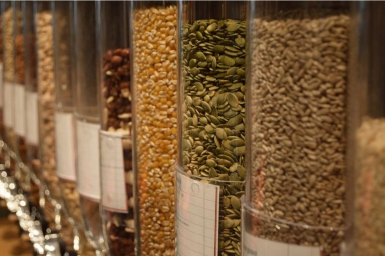 ​El impacto ambiental de las legumbres: ¿Cómo ayudan a la sostenibilidad?