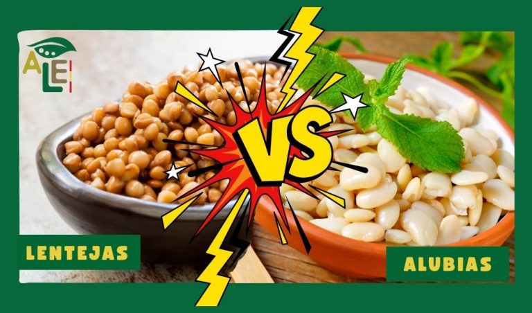 Lentejas vs. alubias: ¿cuál es la mejor fuente de hierro?